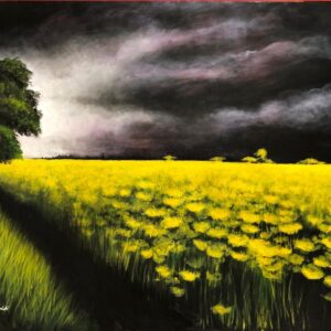 Canola Cloudscape